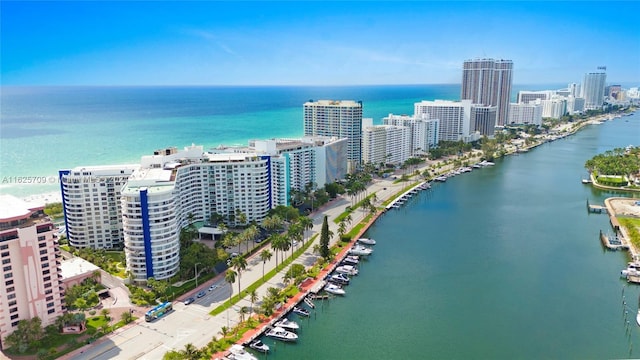 aerial view with a water view