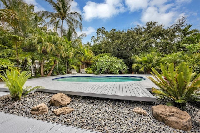 view of swimming pool with a deck