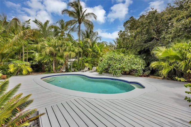 view of pool featuring a wooden deck