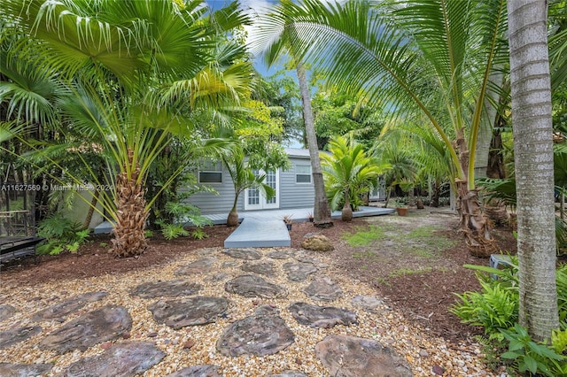 view of yard with a patio