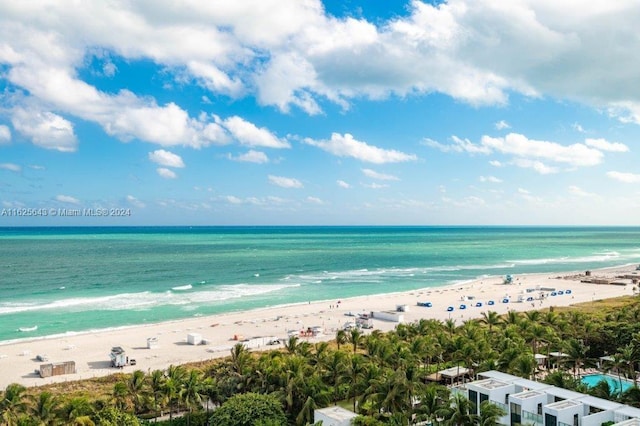 property view of water featuring a beach view