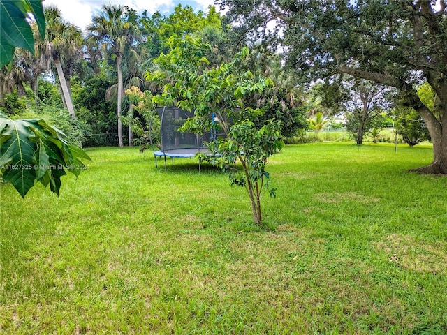 view of yard featuring a trampoline