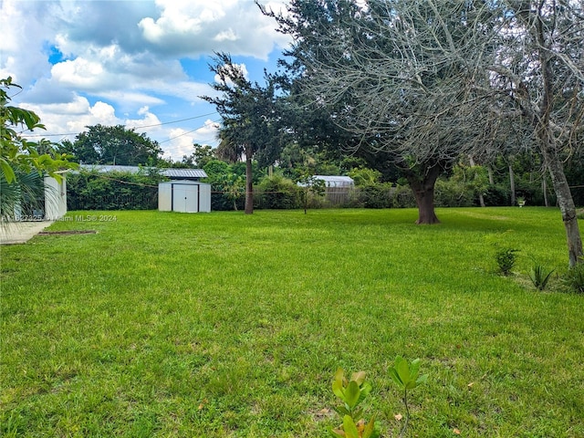 view of yard with a storage shed