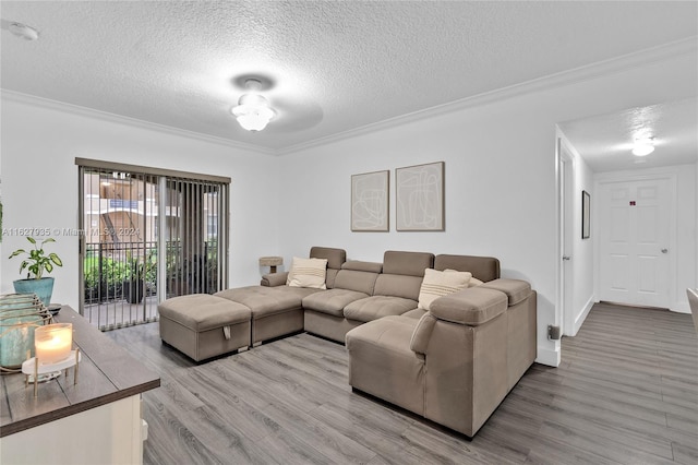 living room with ornamental molding, hardwood / wood-style floors, and a textured ceiling