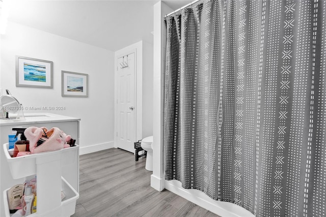 bathroom with walk in shower, vanity, hardwood / wood-style floors, and toilet