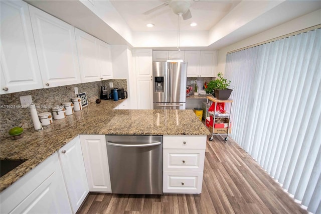 kitchen with a raised ceiling, hardwood / wood-style flooring, stainless steel appliances, and backsplash