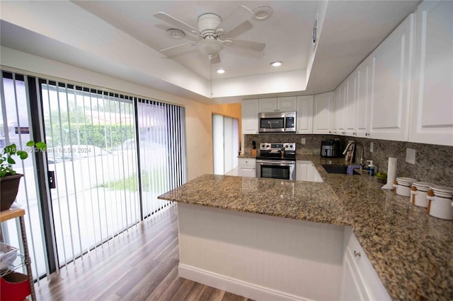 kitchen with appliances with stainless steel finishes, stone counters, tasteful backsplash, ceiling fan, and a raised ceiling