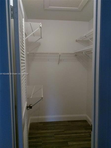 spacious closet featuring dark hardwood / wood-style floors