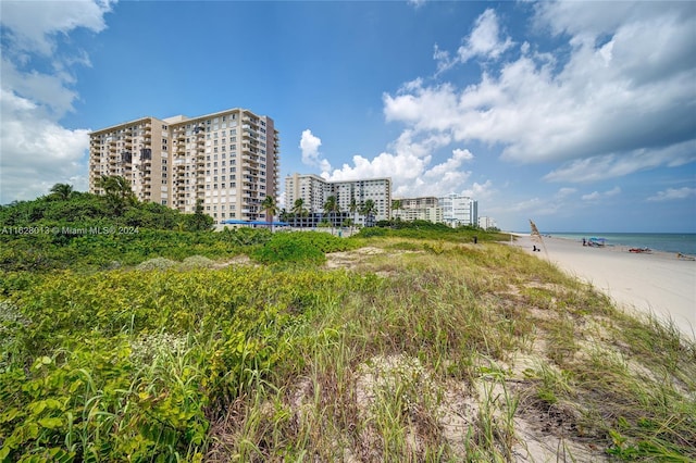 view of water feature featuring a beach view