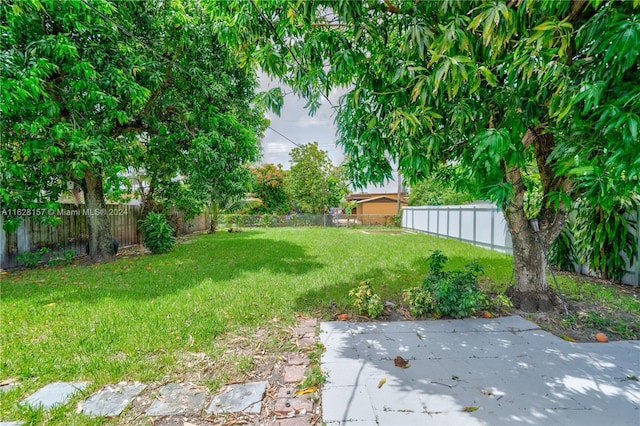 view of yard with a patio area