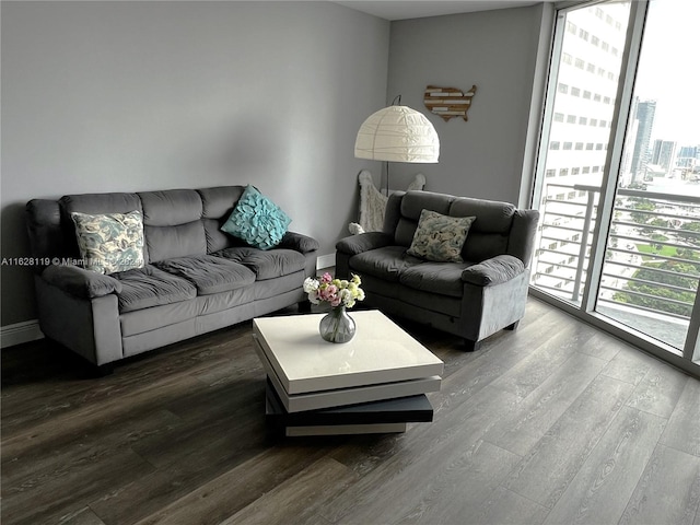 living room with wood-type flooring