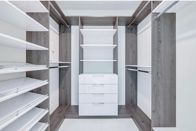 view of walk in closet