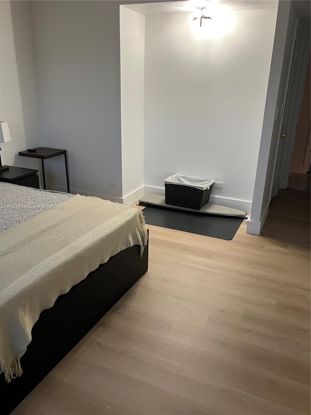 bedroom featuring light hardwood / wood-style floors