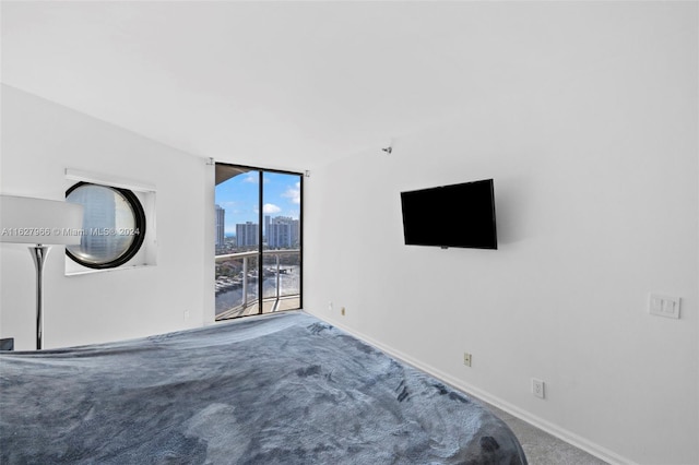 carpeted bedroom with expansive windows