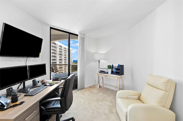 office space with light colored carpet