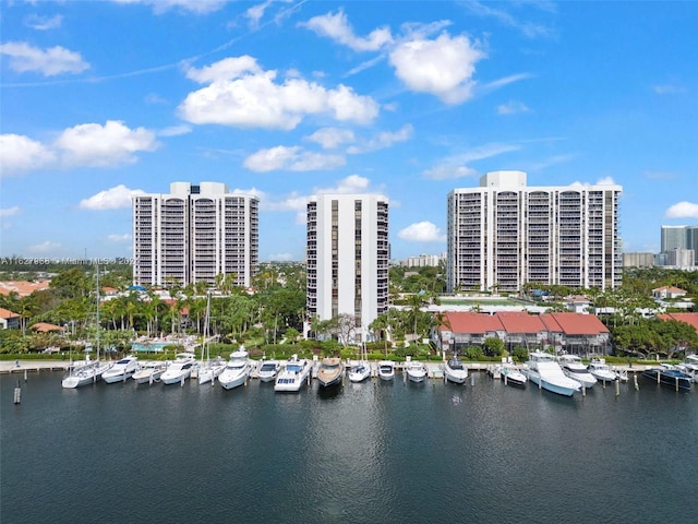 water view featuring a boat dock