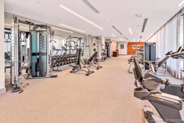 exercise room with light carpet