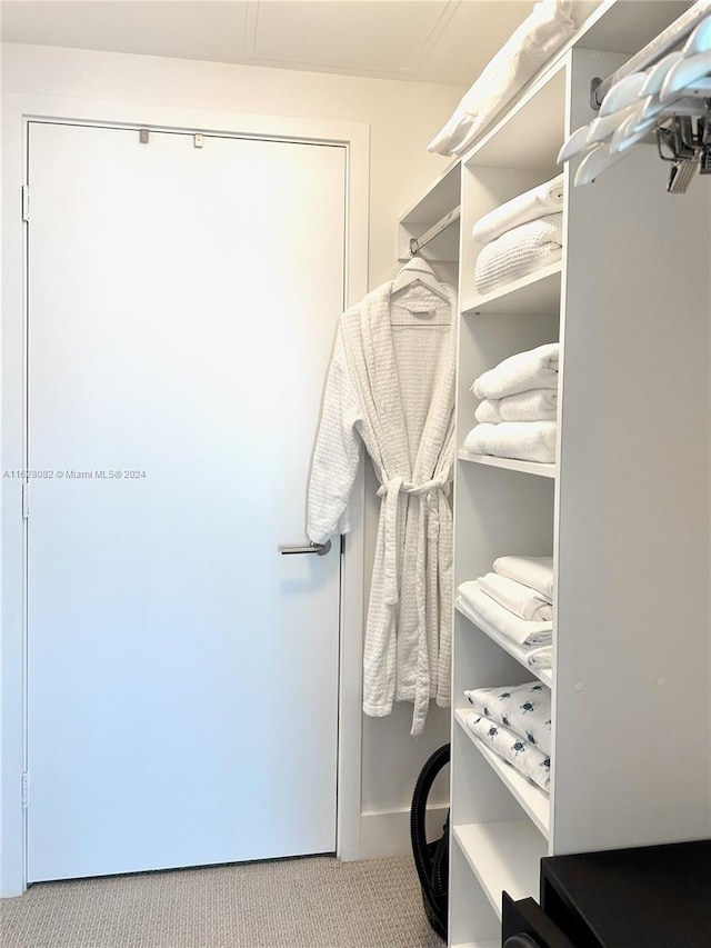 spacious closet featuring carpet flooring