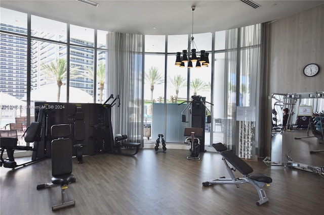 gym featuring a healthy amount of sunlight, wood-type flooring, and expansive windows