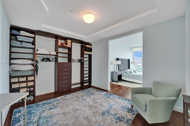 sitting room featuring wood-type flooring and a tray ceiling