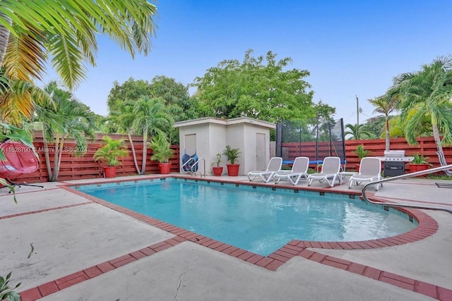 view of pool featuring a storage shed and a patio area