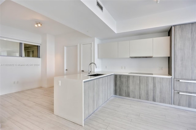 kitchen featuring cooktop, sink, and light hardwood / wood-style floors