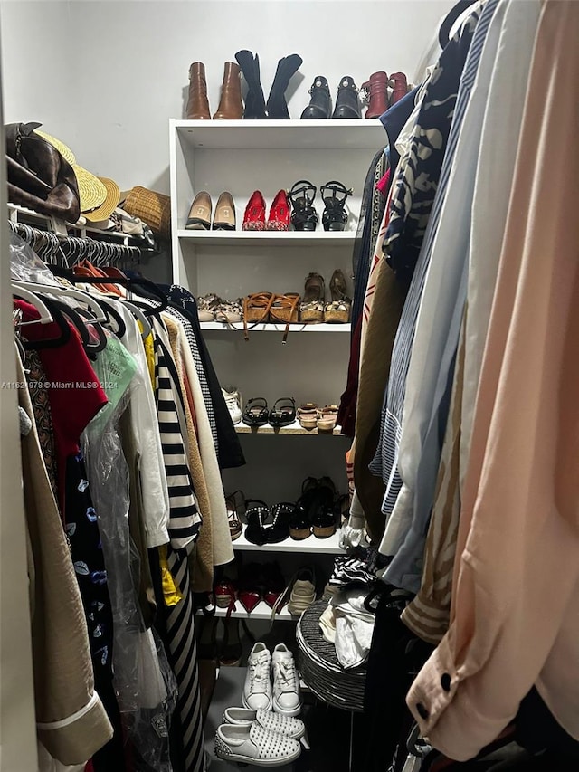 view of spacious closet