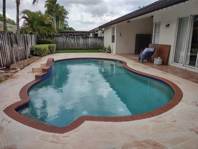 view of pool featuring a patio