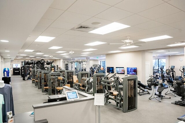 gym with a drop ceiling, light carpet, and ceiling fan