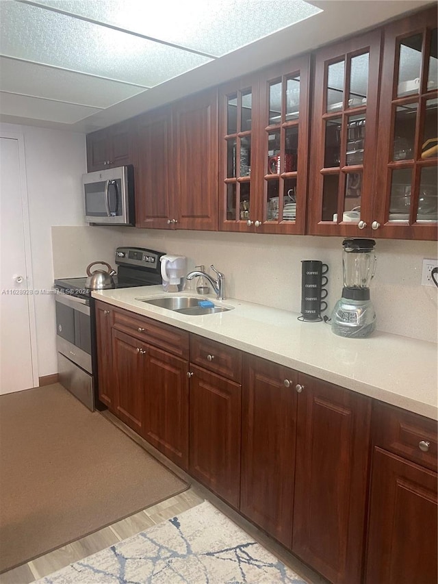 kitchen with sink, light hardwood / wood-style flooring, and stainless steel appliances