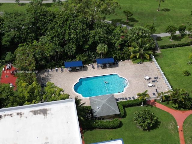 view of swimming pool with a patio