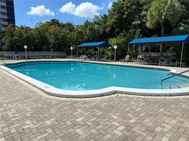 view of swimming pool featuring a patio