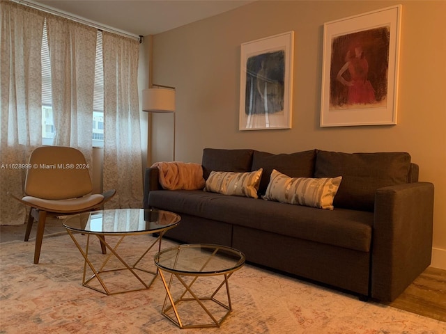 living room featuring wood-type flooring