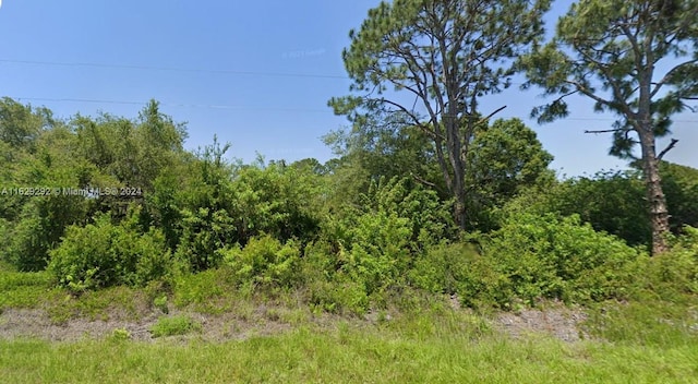 Listing photo 2 for 672 Bald Cypress Ave, Clewiston FL 33440