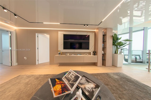 living room featuring wood-type flooring and rail lighting