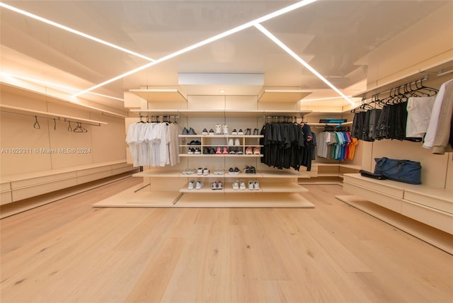 walk in closet with hardwood / wood-style flooring