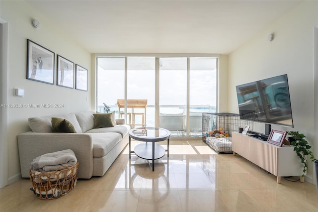 living room featuring expansive windows