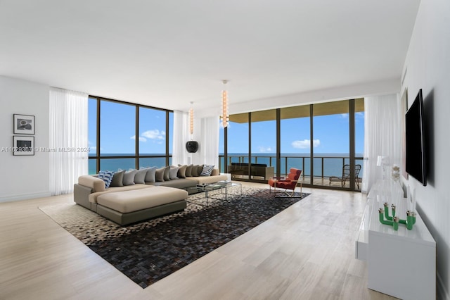 living room with a wall of windows and light hardwood / wood-style floors