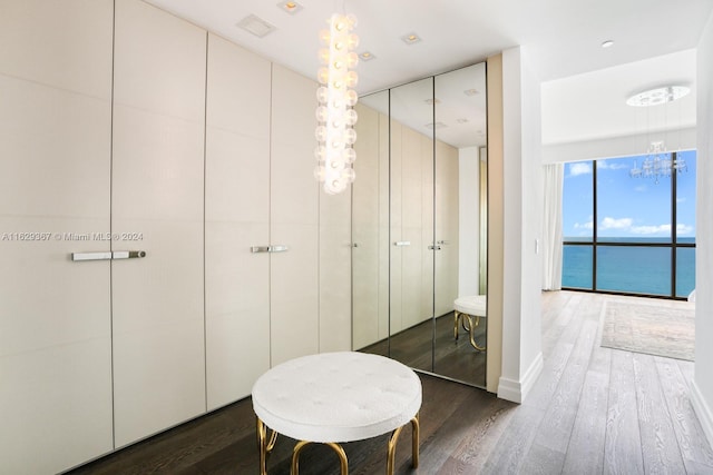 bathroom with wood-type flooring and a water view