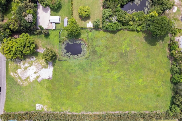 3800 NW 91st Ave, Cooper City, FL 33024 - photo 16
