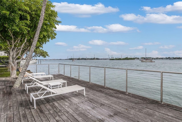 dock area with a water view