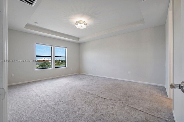 carpeted spare room featuring a raised ceiling