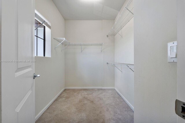 walk in closet featuring light carpet