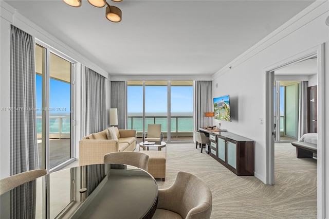 living room with light colored carpet, a healthy amount of sunlight, a water view, and crown molding