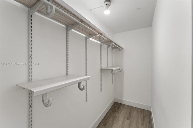 walk in closet featuring light hardwood / wood-style flooring