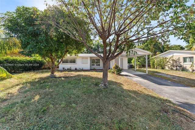 ranch-style house featuring a front lawn and a carport