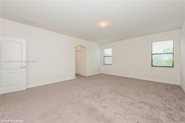 carpeted empty room with a wealth of natural light