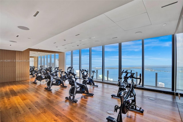 gym with a water view, hardwood / wood-style floors, and a healthy amount of sunlight