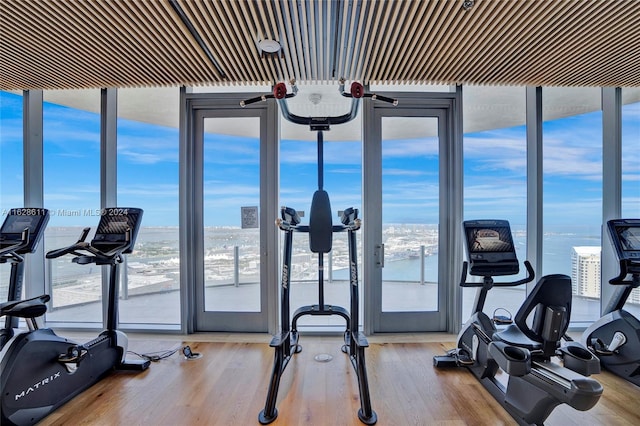 gym featuring plenty of natural light, hardwood / wood-style flooring, and a water view