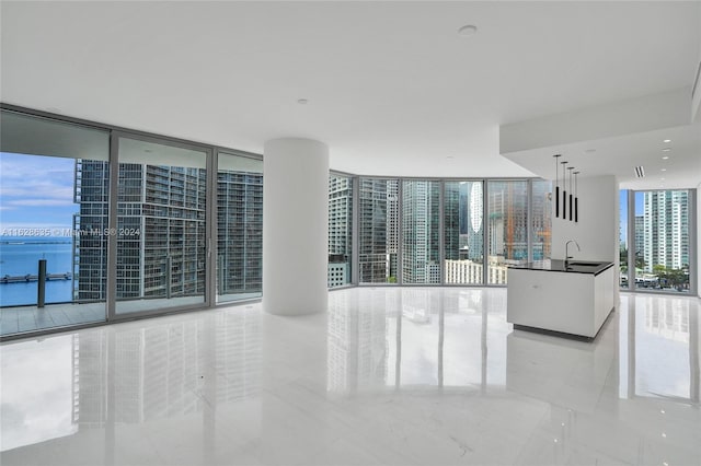 unfurnished living room with a wall of windows and sink